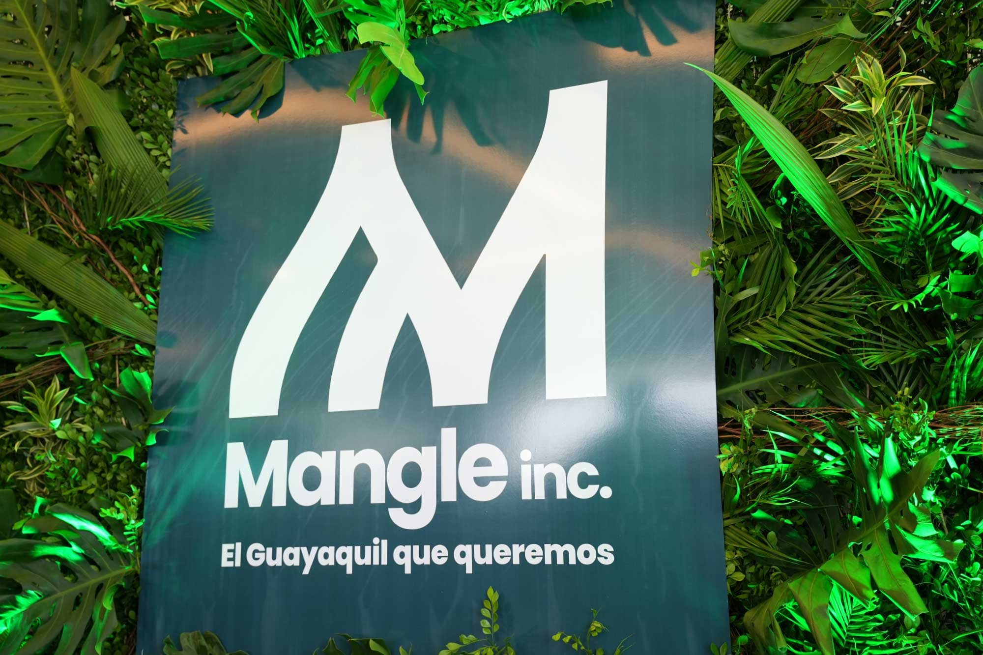 Mangle inc.